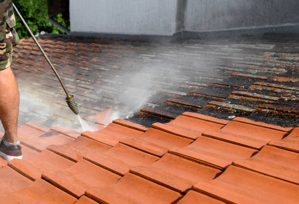 Best Affordable Pressure Washing  in Brooklyn, IA