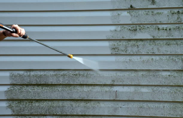 Best Commercial Building Pressure Washing  in Brooklyn, IA